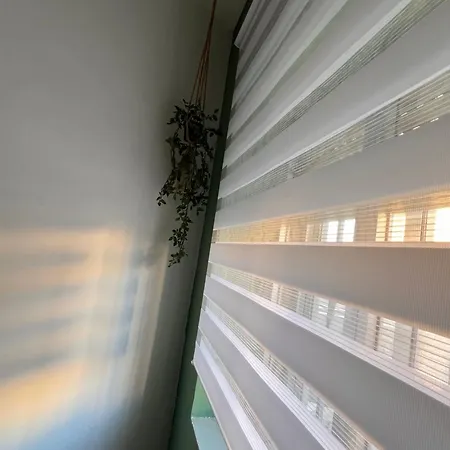 Enamora דירה זמורה